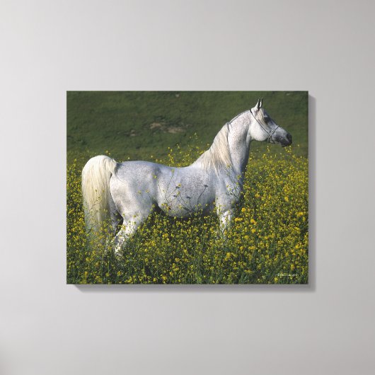 Toile Cheval arabe debout en fleurs (Recto)
