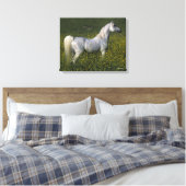 Toile Cheval arabe debout en fleurs (Insitu(Chambre))
