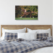 Toile Cheval arabe en campagne de graminées (Insitu(Chambre))