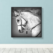 Toile Cheval arabe gris (Insitu (Plancher de Bois))