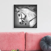 Toile Cheval arabe gris (Insitu(Salon))