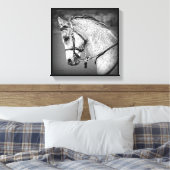 Toile Cheval arabe gris (Insitu(Chambre))