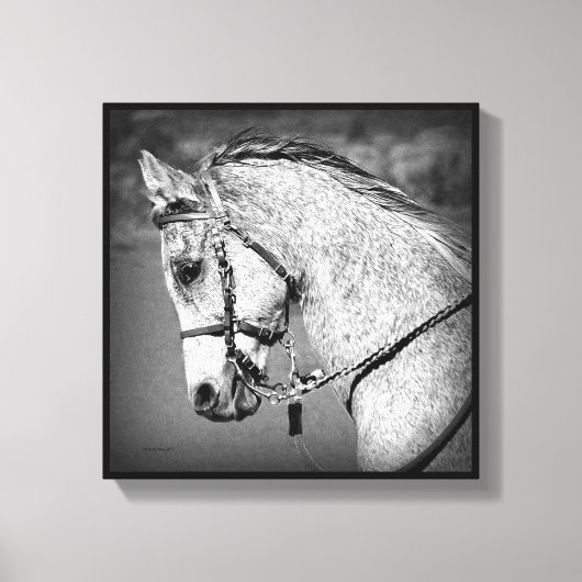 Toile Cheval arabe gris (Recto)