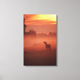 Toile Cheval au lever de soleil