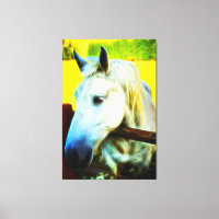 *~* Cheval blanc au-dessus de la clôture AR22 Equi