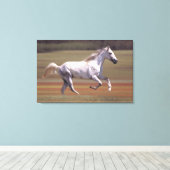Toile Cheval blanc courant dans le champ (Insitu (Plancher de Bois))