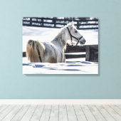 Toile Cheval Blanc En Neige (Insitu (Plancher de Bois))