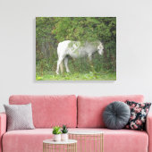 Toile Cheval Blanc timide Imprimer (Insitu(Salon))