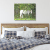 Toile Cheval Blanc timide Imprimer (Insitu(Chambre))