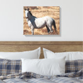 Toile Cheval Blanc Wild Mustang Imprimer (Insitu(Chambre))