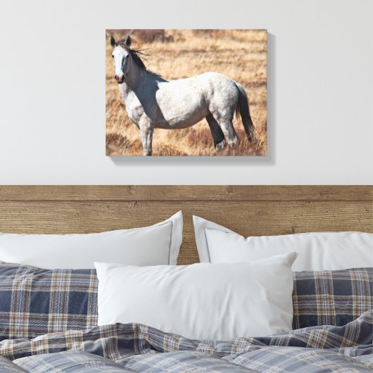 Toile Cheval Blanc Wild Mustang Imprimer (Insitu(Chambre))