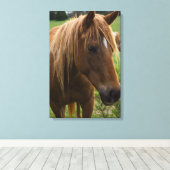 Toile Cheval Bonjour (Insitu (Plancher de Bois))