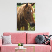 Toile Cheval Bonjour (Insitu(Salon))