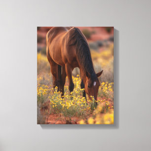 Toile Cheval Brun Fleur Sauvage Jaune Art Désertique