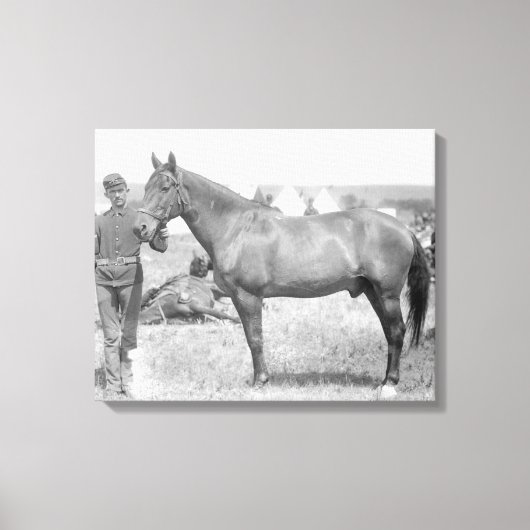 Toile Cheval "Comanche" le seul Survivant du Custer (Recto)