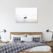 Toile Cheval courant sur la plage (Insitu(Chambre))