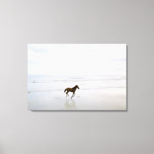 Toile Cheval courant sur la plage (Recto)