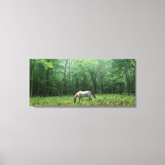 Toile Cheval dans le pré (Recto)