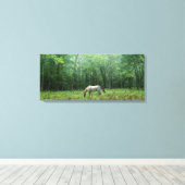 Toile Cheval dans le pré (Insitu (Plancher de Bois))