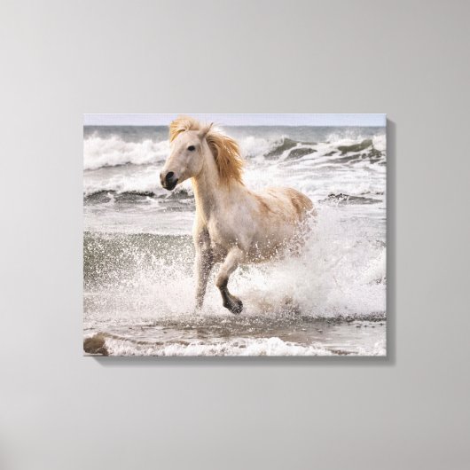 Toile Cheval de Camargue sortant des vagues (Recto)