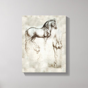 Toile Cheval de da Vinci