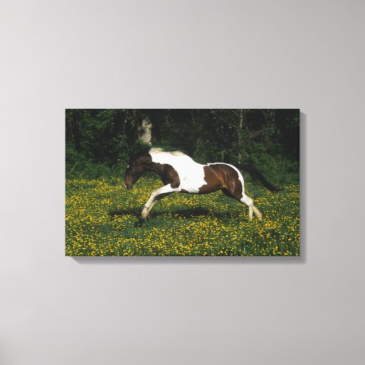Toile Cheval de peinture courant dans le champ de fleurs (Recto)