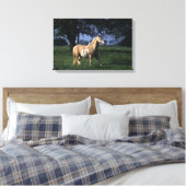 Toile Cheval de peinture debout 2 (Insitu(Chambre))