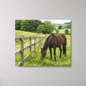 Toile Cheval de Prairie de Campagne (Recto)