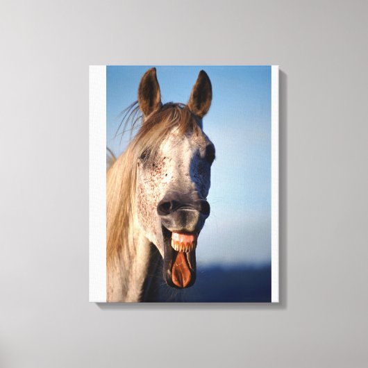 Toile cheval de rire (Recto)
