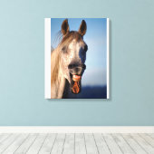 Toile cheval de rire (Insitu (Plancher de Bois))