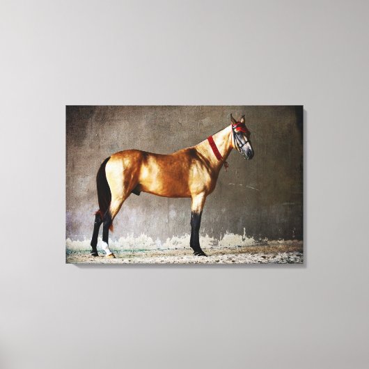 Toile Cheval de saut coloré (Recto)