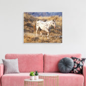 Toile Cheval errant dans les collines pittoresques du Bi (Insitu(Salon))