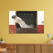 Toile Cheval gris dans une écurie (Insitu(Salon))