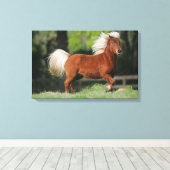 Toile Cheval miniature debout (Insitu (Plancher de Bois))