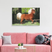 Toile Cheval miniature debout (Insitu(Salon))