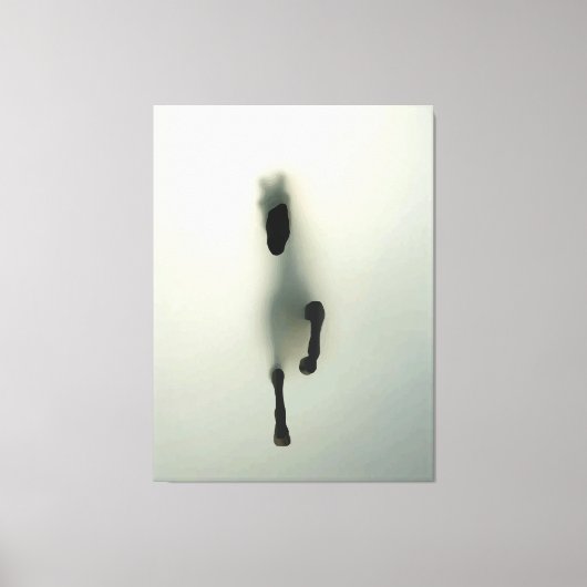 Toile Cheval Qui Traverse Le Fog (Recto)