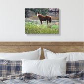 Toile Cheval regardant en arrière (Insitu(Chambre))