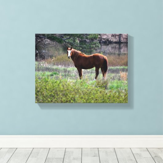 Toile Cheval regardant en arrière (Insitu (Plancher de Bois))