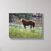 Toile Cheval regardant en arrière (Recto)