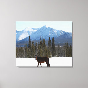 Toile Cheval sauvage sur la route de l'Alaska