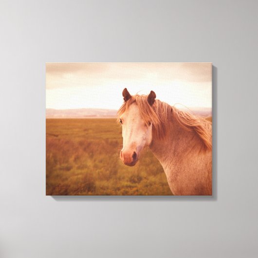 Toile cheval sauvage vintage (Recto)