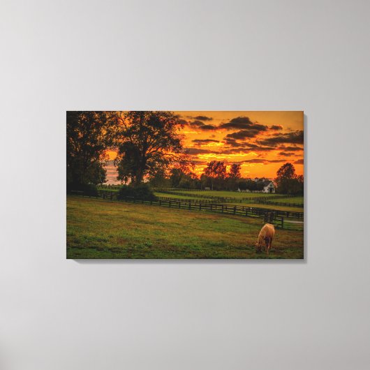 Toile Cheval solitaire au coucher du soleil (Recto)