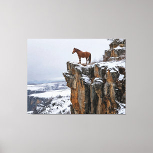 Toile Cheval solitaire sur une falaise enneigée en hiver