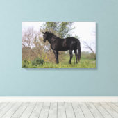 Toile Cheval Thoroughbred debout (Insitu (Plancher de Bois))