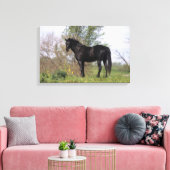 Toile Cheval Thoroughbred debout (Insitu(Salon))