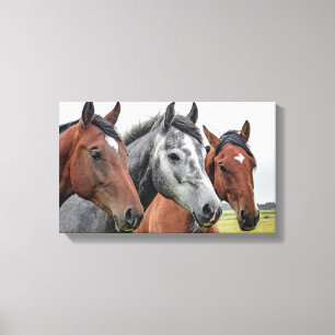 Toile Chevaux