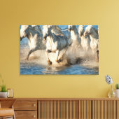 Toile Chevaux blancs de Camargue, France (Insitu(Salon))