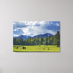 Toile Chevaux broutent dans un pâturage près de Whitefis
