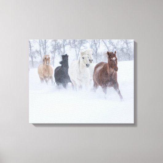 Toile Chevaux courant à travers la neige (Recto)