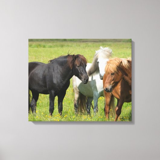 Toile Chevaux dans le ranch, sud de l'Islande (Recto)